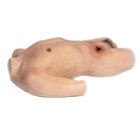 Školicí modely